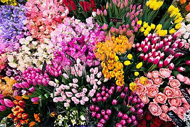 《街头霸王6》再次追加两名日语实况解说员